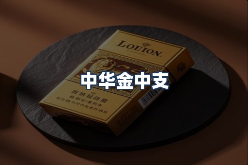 中华金中支
